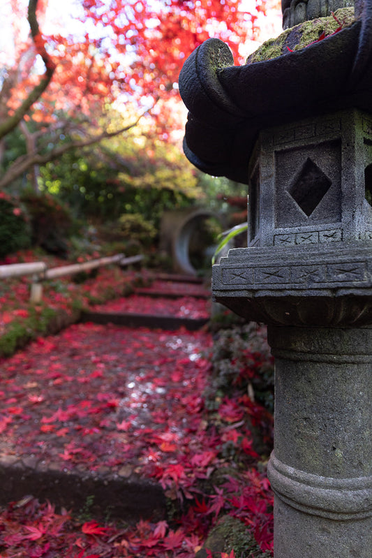 A stone lantern stands in the foreground of a Japanese garden path covered in vibrant red maple leaves. In the background, a circular stone archway is visible amidst the autumn foliage.