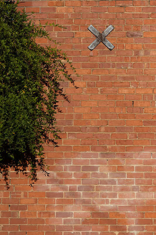 A metal X on brick wall, with green foliage growing