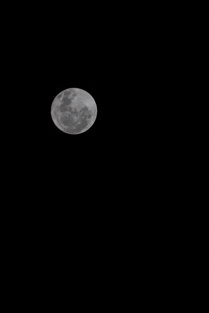 A full moon is visible against a completely black sky. The moon is illuminated and shows craters and surface details.