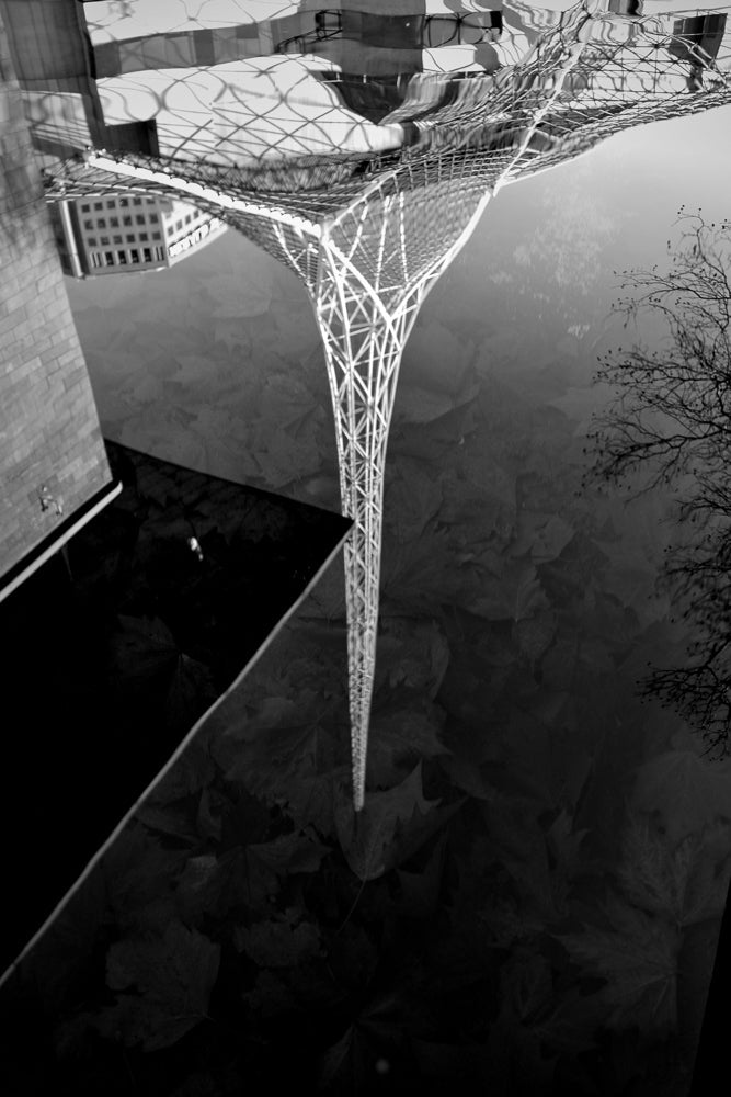 A black and white reflection of a modern building with a lattice-like canopy and a tall, conical structure in water. The reflection shows the building's facade and the intricate design of the canopy, distorted by the water's surface. Fallen leaves are visible beneath the surface, adding texture to the scene.