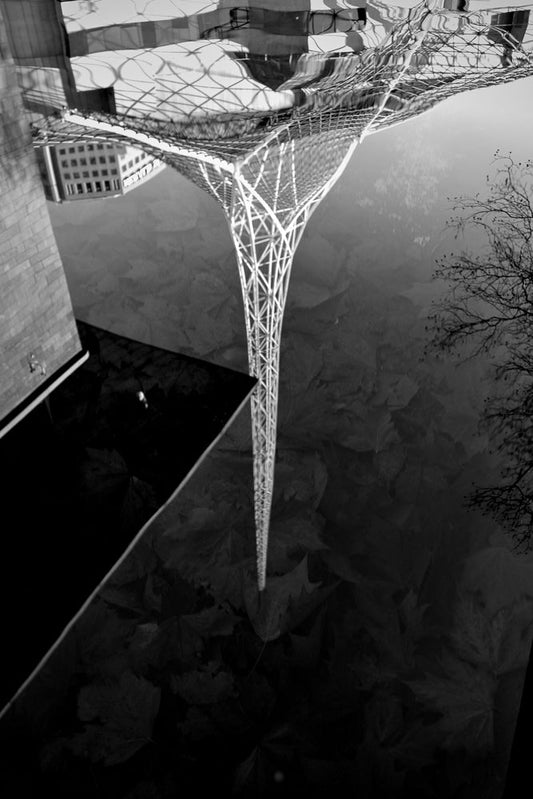 A black and white reflection of a modern building with a lattice-like canopy and a tall, conical structure in water. The reflection shows the building's facade and the intricate design of the canopy, distorted by the water's surface. Fallen leaves are visible beneath the surface, adding texture to the scene.