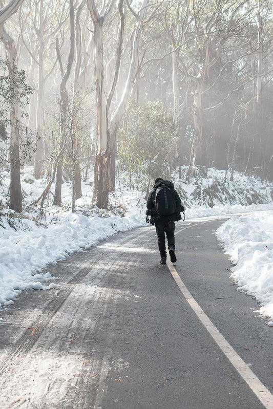 A lone hiker walks down a snow-covered road through a misty forest.