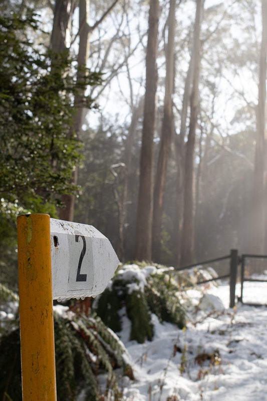 A white directional sign with the number 2 on it, mounted on a yellow post. The sign is in a forest setting with snow on the ground and trees in the background, with sunlight filtering through the branches.