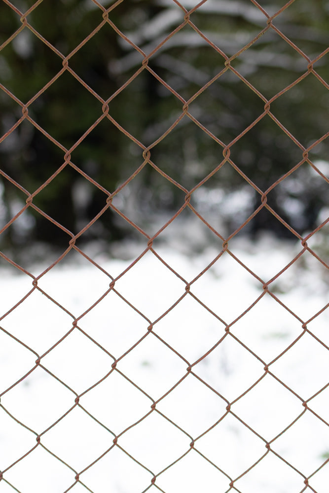 A close-up, vertical shot of a rusty chain-link fence. The fence is in focus, with a blurred background of snow and dark trees.
