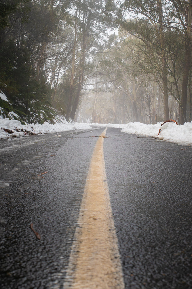 A wet, grey asphalt road with a yellow dividing line curves through a forest with snow on the sides. Tall trees with bare branches and some foliage line the road, disappearing into a misty, overcast sky.