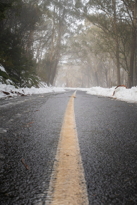 A wet, grey asphalt road with a yellow dividing line curves through a forest with snow on the sides. Tall trees with bare branches and some foliage line the road, disappearing into a misty, overcast sky.