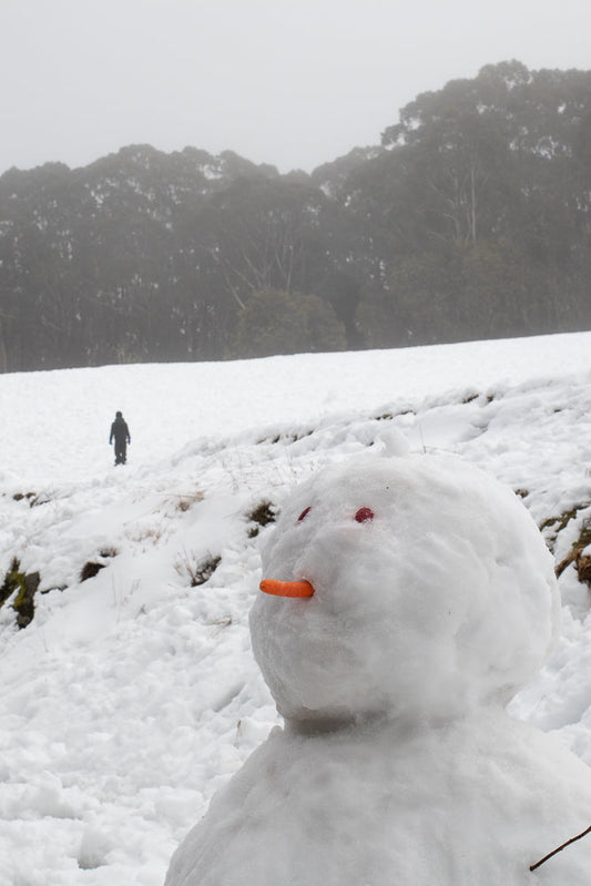 A snowman with a carrot nose and berry eyes sits in the snow. In the background, a person walks away from the camera towards a line of trees under a foggy sky.