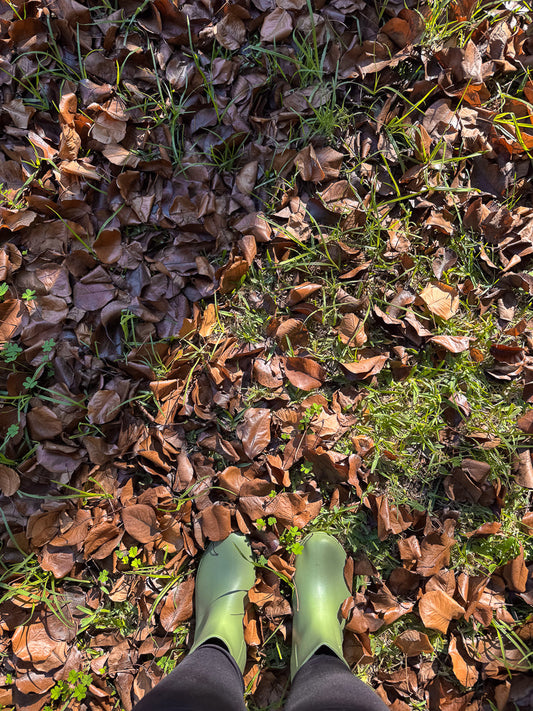 A pair of green rubber boots stand on a patch of grass partially covered by fallen brown leaves. The leaves are dry and crisp, with some green clover sprouts visible among them. The sunlight casts shadows, highlighting the textures of the leaves and grass.