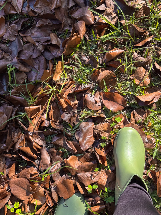 A person wearing a green rubber boot and dark pants stands on a patch of grass covered with fallen brown leaves.