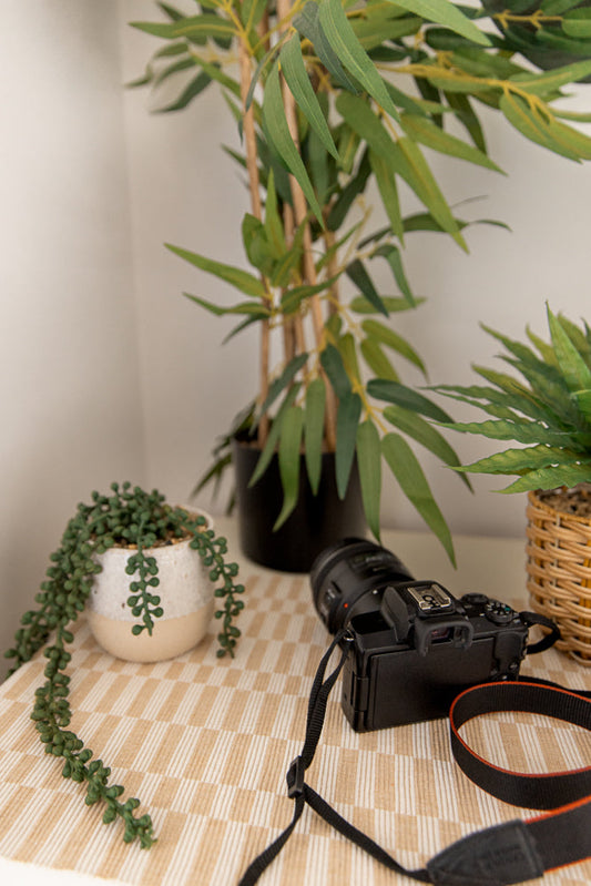 A black camera with a strap lies on a table with a checkered cloth. Two potted plants, one with trailing green leaves and another with tall green leaves, are visible in the background.
