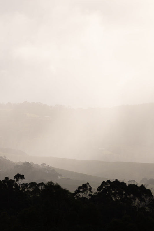 A hazy, muted landscape with rolling hills fading into a bright, overcast sky. Silhouetted trees in the foreground create a dark contrast against the soft, diffused light.