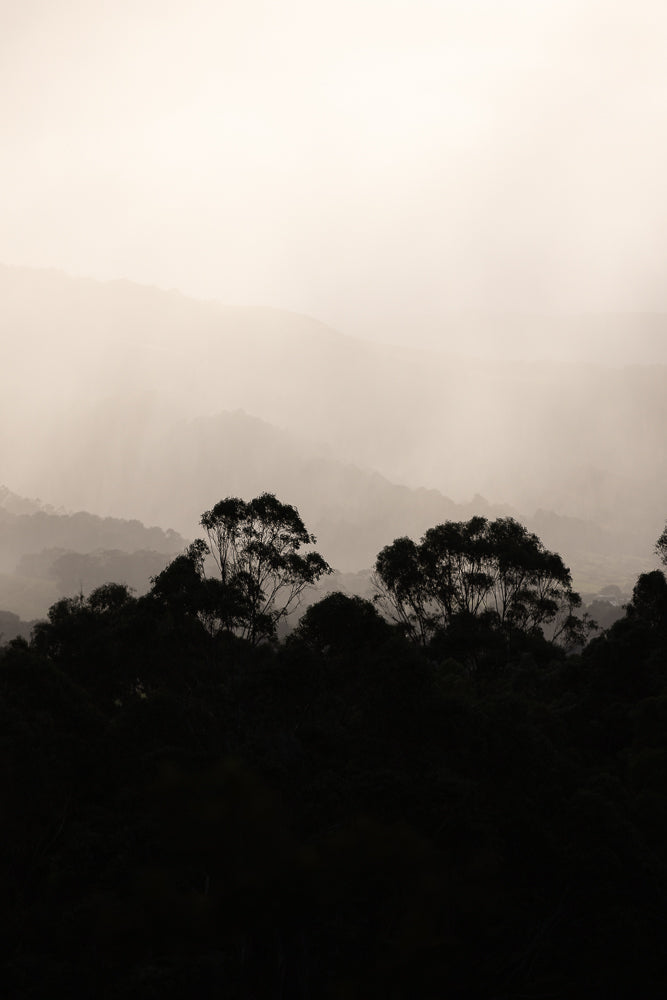 Silhouetted trees stand against a hazy, pale sky, with layers of misty mountains receding into the distance. The overall mood is serene and atmospheric.