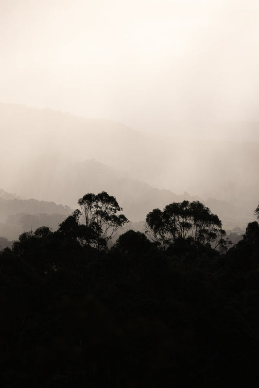 Silhouetted trees stand against a hazy, pale sky, with layers of misty mountains receding into the distance. The overall mood is serene and atmospheric.