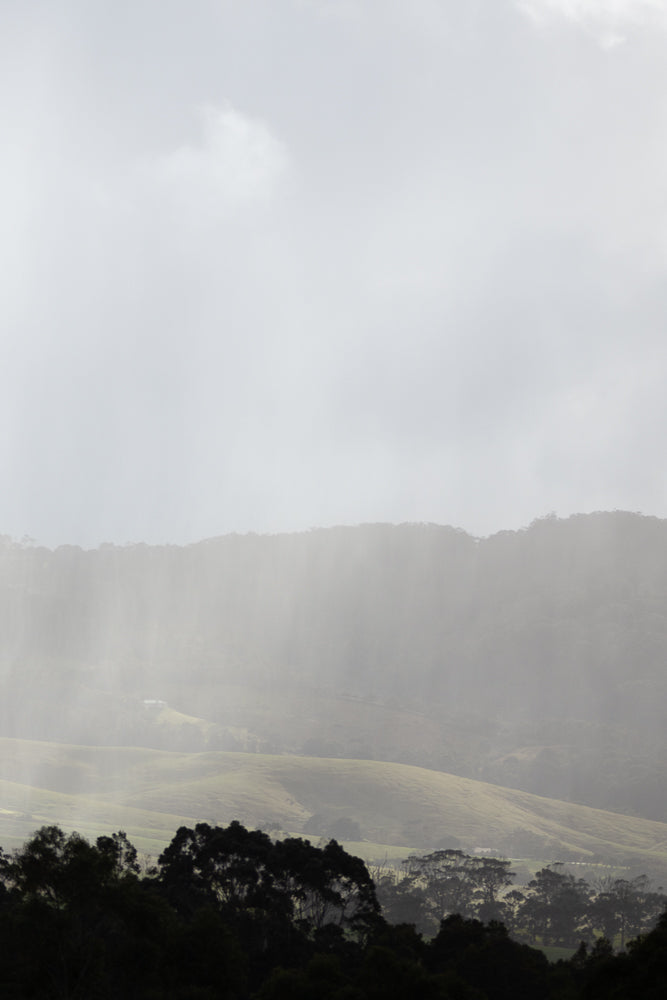 Rain falls on rolling hills and trees under a cloudy sky.