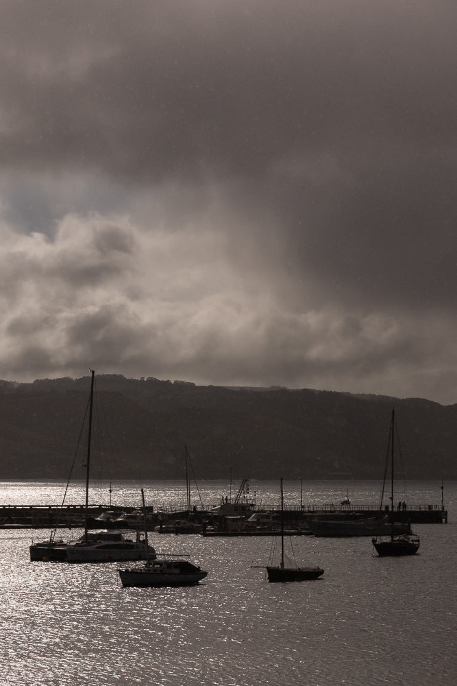 A fleet of sailboats and a catamaran are moored in a harbor under a dramatic, cloudy sky. The water reflects the light, creating a shimmering effect.