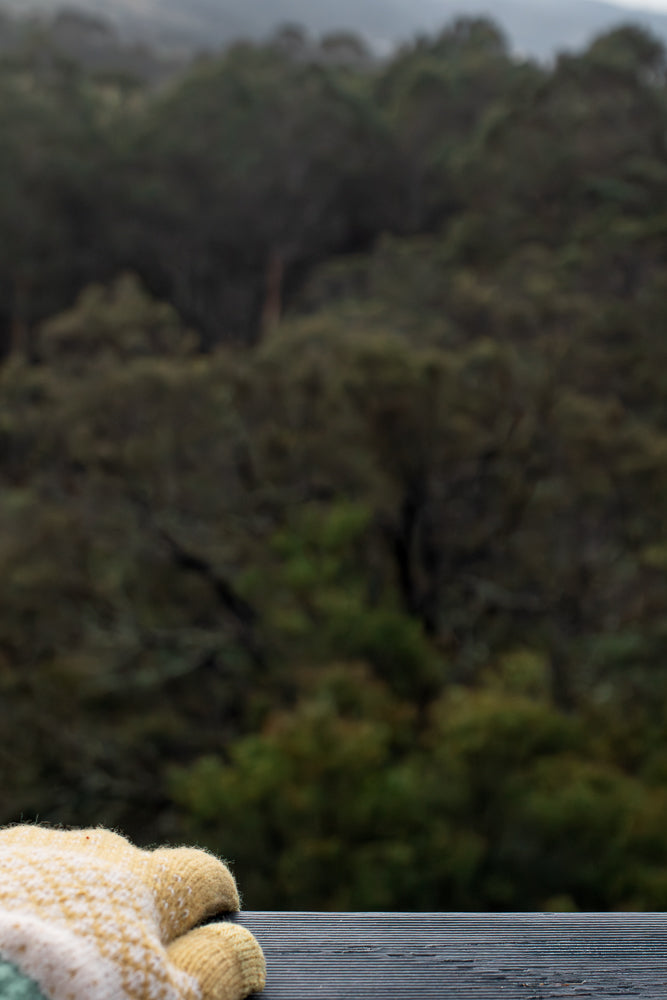 A close-up shot of a knitted glove with yellow and white stripes resting on a dark wooden surface. The background is a blurred forest scene with dark green trees under a cloudy sky.