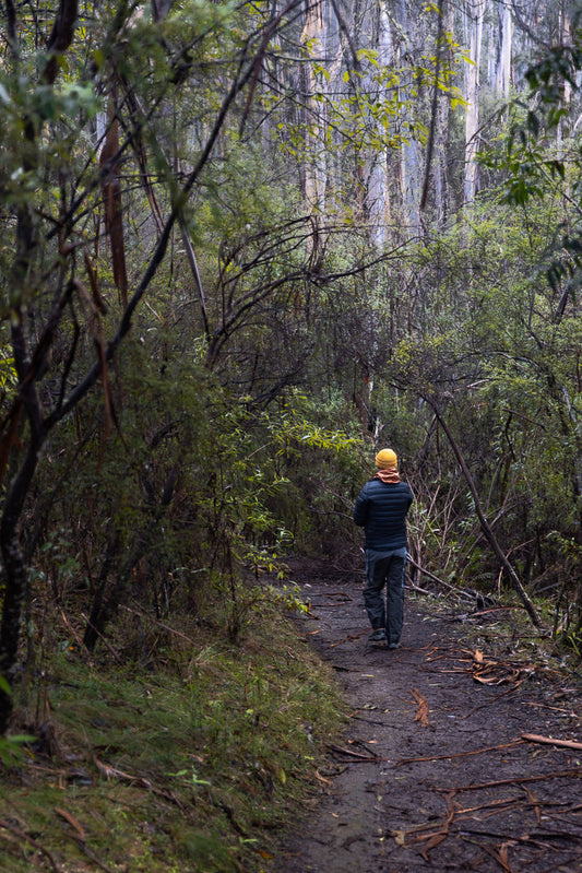 A person wearing a blue puffer jacket and grey pants walks away from the camera on a muddy path through a dense forest. They have a yellow beanie and an orange scarf around their neck.