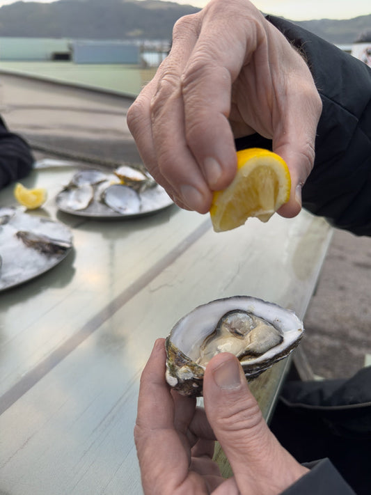 A person is holding an oyster and squeezing a lemon over it. Another plate of oysters is visible in the background.