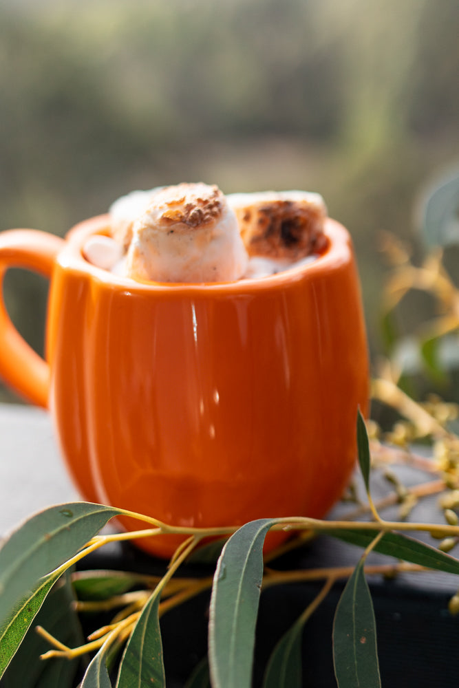 A close-up shot of a bright orange mug filled with hot chocolate topped with toasted marshmallows. Eucalyptus leaves and branches frame the mug, suggesting a cozy, autumnal setting.