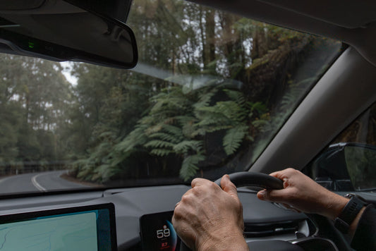 A person drives a car on a winding road through a forest with large ferns visible through the windshield. The driver's hands are on the steering wheel, and the car's dashboard displays speed and navigation.