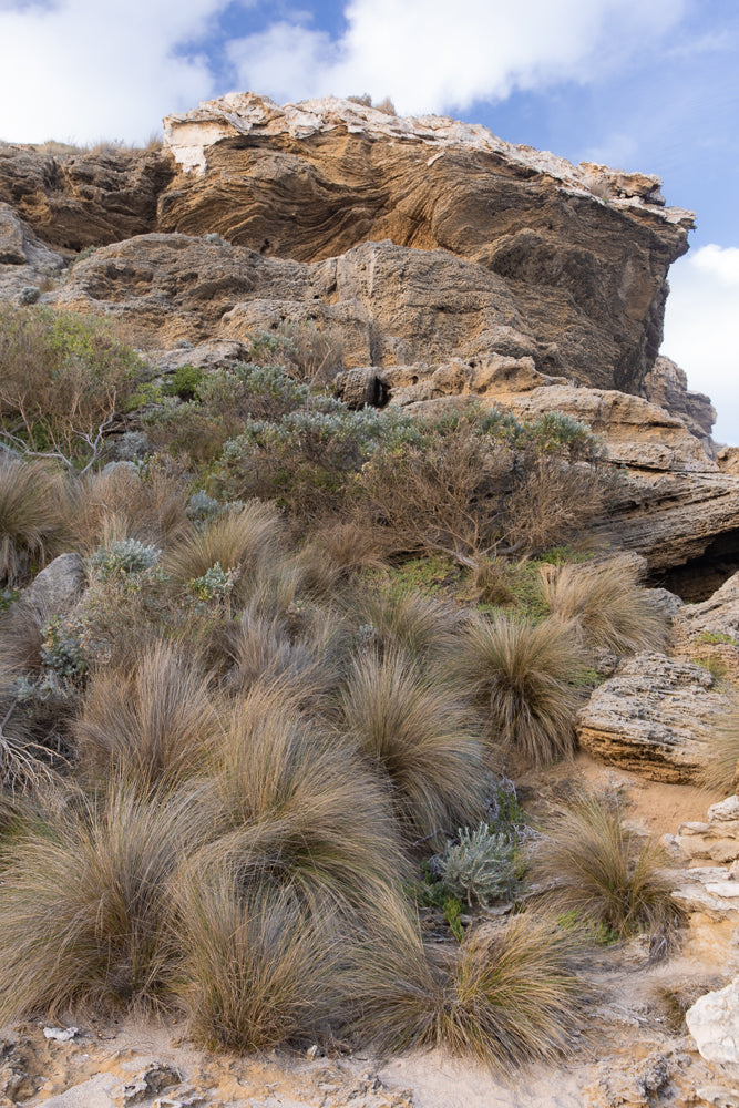 A rocky cliff face with layered sedimentary rock formations. Dry grasses and low-lying shrubs grow on the sandy slope leading up to the cliff under a partly cloudy sky.