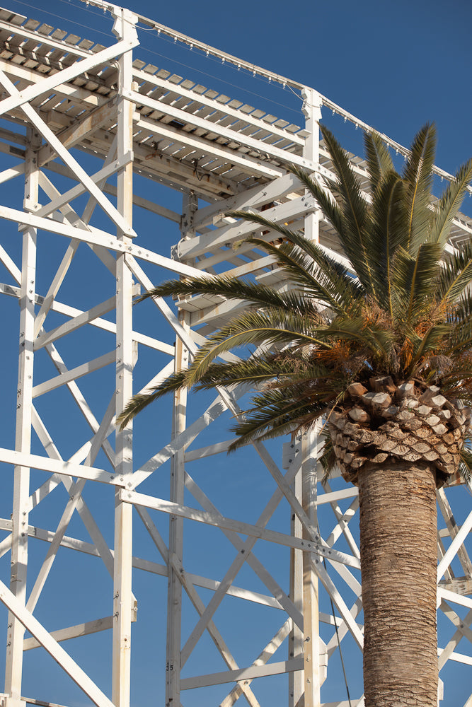White wooden rollercoaster structure with string lights and palm tree against blue sky evoking a retro amusement park atmosphere