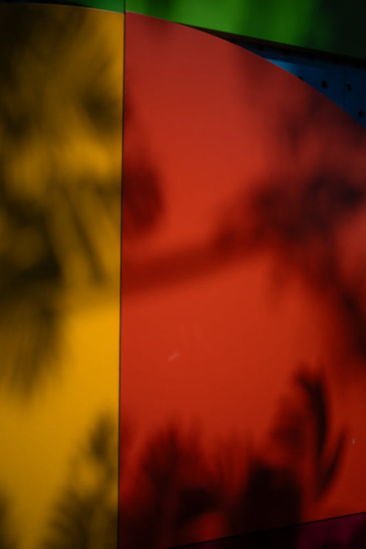 Abstract palm leaf shadows on colorful wall surface