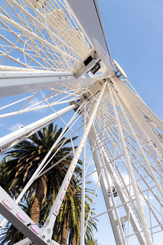 Ferris wheel structure reaching blue sky and tropical palms