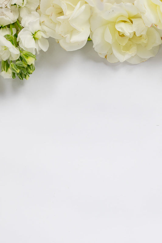 A close-up shot of a cluster of white flowers and green buds against a plain white background. The flowers are delicate and layered, with some showing hints of yellow and pinkish tones.