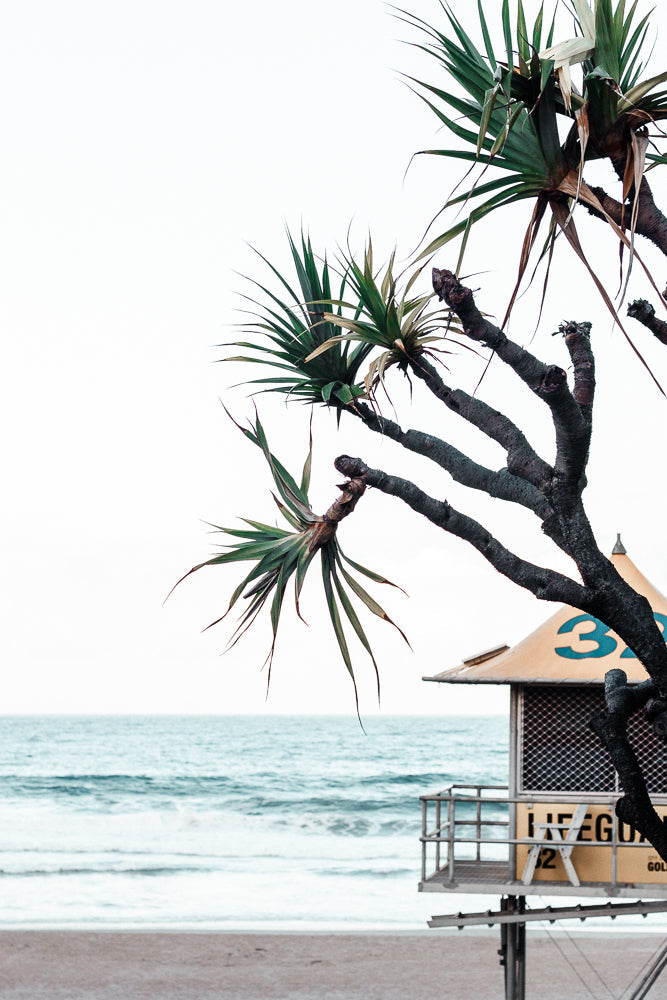A lifeguard tower with the number 32 on it stands on a beach next to the ocean. A dark, gnarled tree with spiky green leaves partially obscures the tower and the sea.