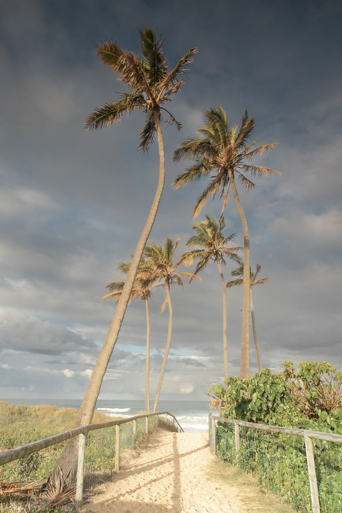 A sandy path leads through palm trees to the ocean under a cloudy sky. A wooden fence lines the path.