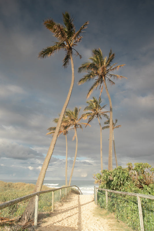 A sandy path leads through palm trees to the ocean under a cloudy sky. A wooden fence lines the path.