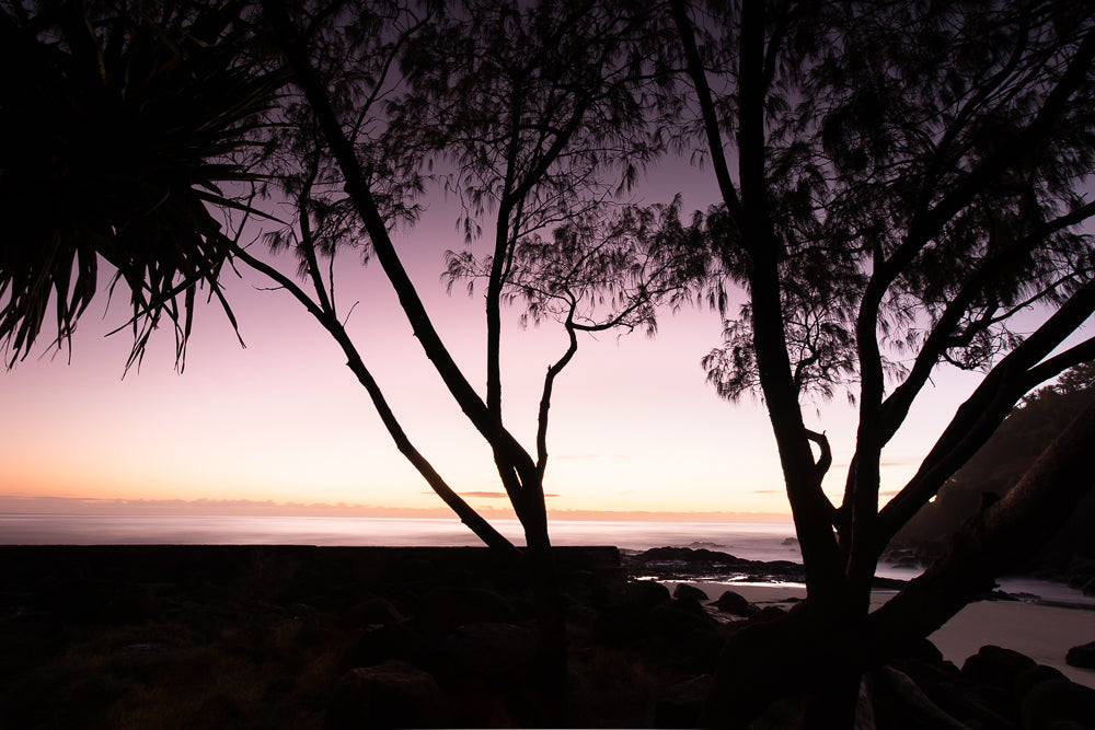Silhouetted trees frame a serene ocean sunrise. The sky transitions from deep purple to soft pink and orange, casting a gentle glow over the calm water and rocky shore.