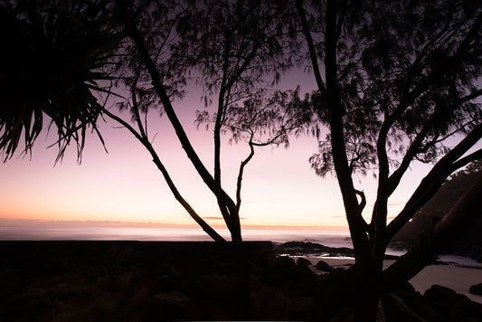 Silhouetted trees frame a serene ocean sunrise. The sky transitions from deep purple to soft pink and orange, casting a gentle glow over the calm water and rocky shore.