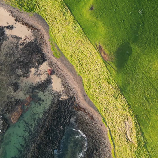 Top-down aerial view of green land meeting rocky coastline