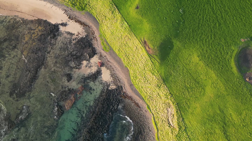 Top-down aerial view of green land meeting rocky coastline