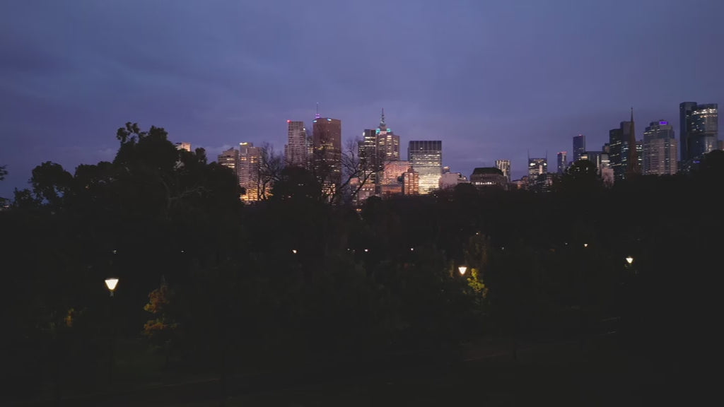 Aerial view of Melbourne skyline at sunrise, flying up from trees