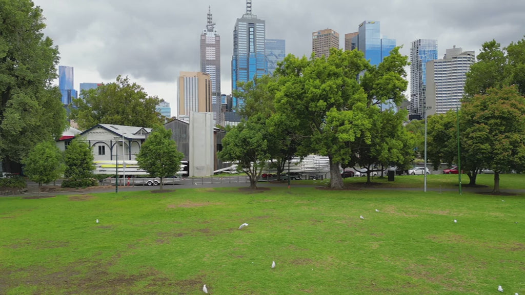 Melbourne Skyline From Boathouse over Yarra River to reveal the city - day. High quality 4k footage