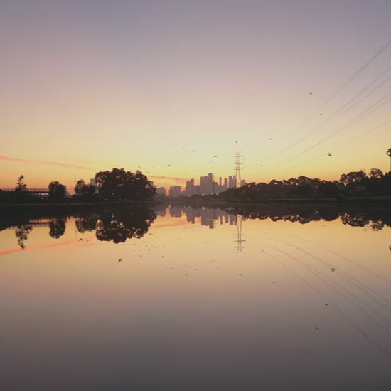 Melbourne CBD Reflections on Maribyrnong River at Sunset with birds flying