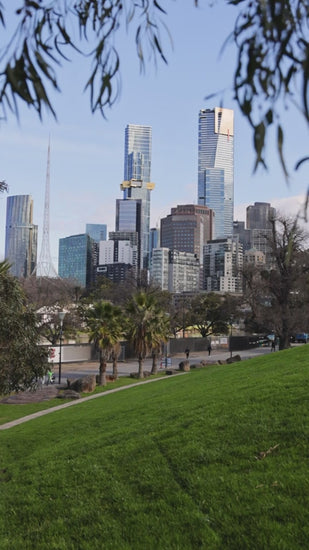 Melbourne urban landscape viewed from grassy city park, green eucalyptus branches naturally framing metropolitan skyline with modern skyscrapers beneath clear blue summer sky