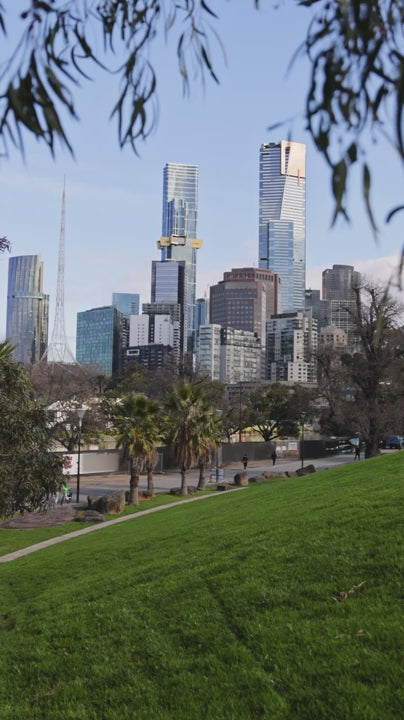 Melbourne urban landscape viewed from grassy city park, green eucalyptus branches naturally framing metropolitan skyline with modern skyscrapers beneath clear blue summer sky
