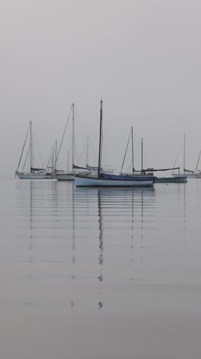Sailboats with lowered sails moored in a tranquil harbor on a foggy, overcast morning. The still water creates serene reflections