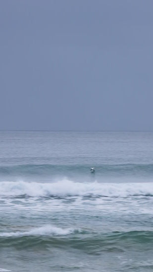 A large sea bird swoops down to fly along a forming wave in the blue monochromatic ocean and sky - a minimalist, calming seascape in slo mo