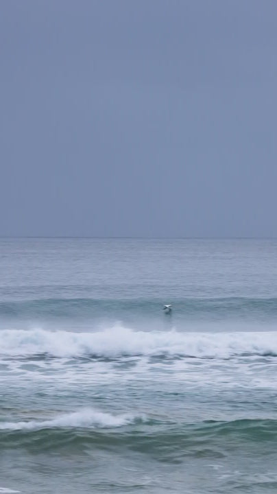 A large sea bird swoops down to fly along a forming wave in the blue monochromatic ocean and sky - a minimalist, calming seascape in slo mo