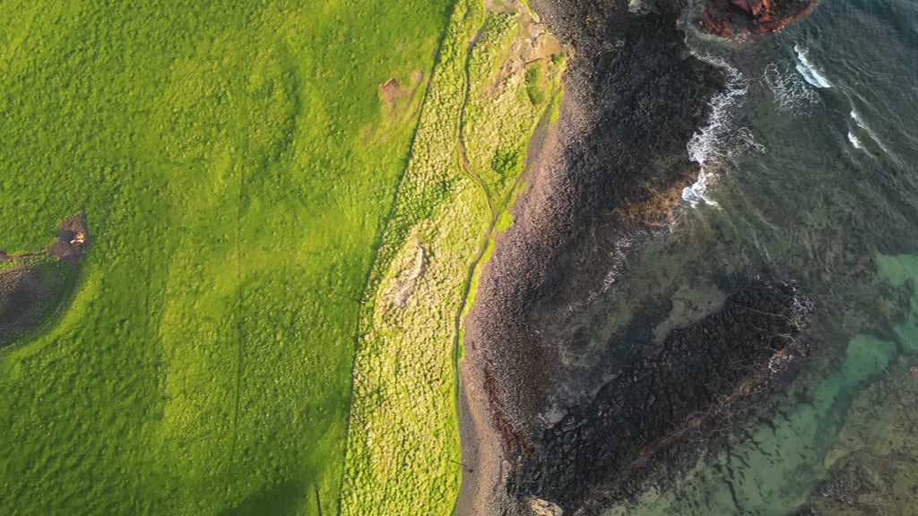 Fly down aerial view of green land meeting rocky coastline